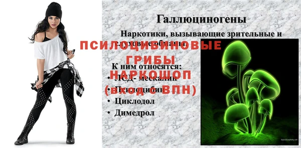 jwh Аркадак