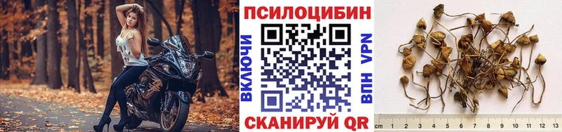 дарнет шоп  Порхов  Галлюциногенные грибы прущие грибы 